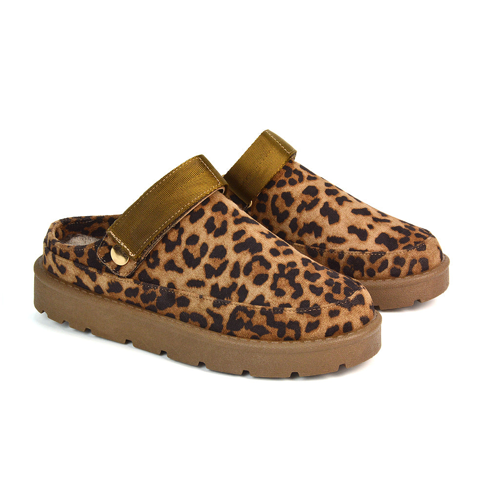 COLA33 CHEETAH CLOGS