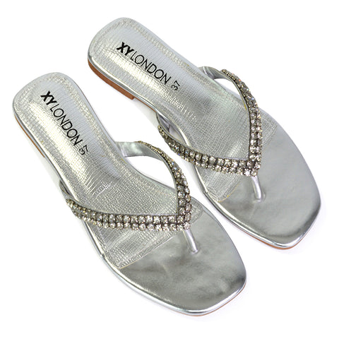 Ladies silver flip flops deals