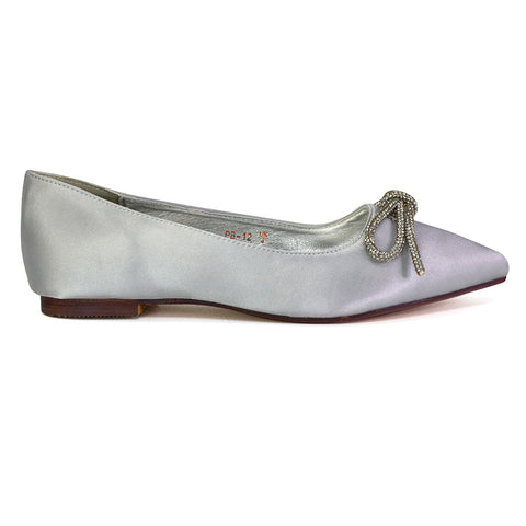 Blossom Diamante Bow Detail Pointed Toe Ballerina Pumps in Silver