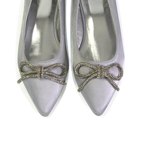 Blossom Diamante Bow Detail Pointed Toe Ballerina Pumps in Silver