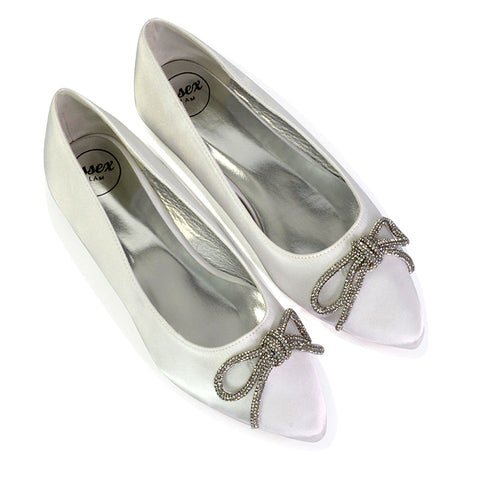 Blossom Diamante Bow Detail Pointed Toe Ballerina Pumps in Silver