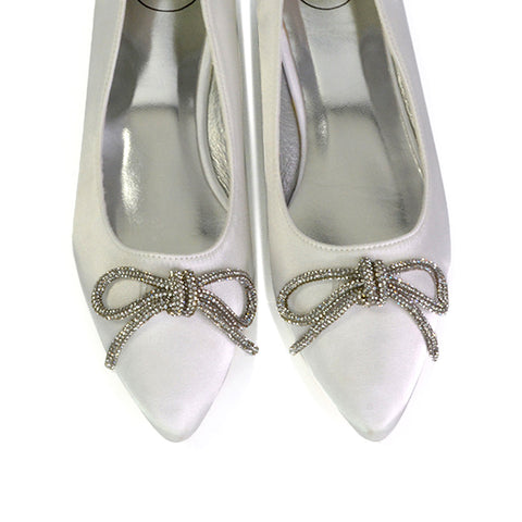 Blossom Diamante Bow Detail Pointed Toe Ballerina Pumps in Silver