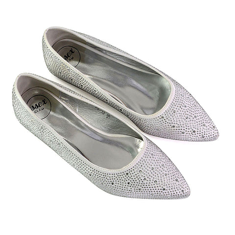 Marshall Bridal Shoes Flat Pointed Toe Diamante Ballerina Pump in Silver