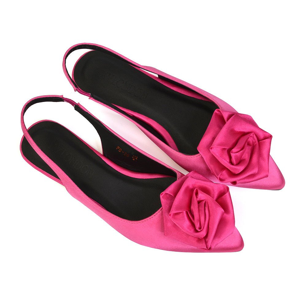 Zooey Rose Pointed Toe Sling Back Flat Ballerina Pump Shoes in Black