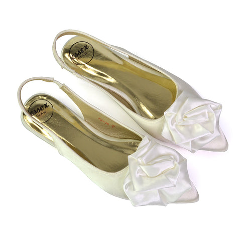 Zooey Rose Pointed Toe Sling Back Flat Ballerina Pump Shoes in Ivory